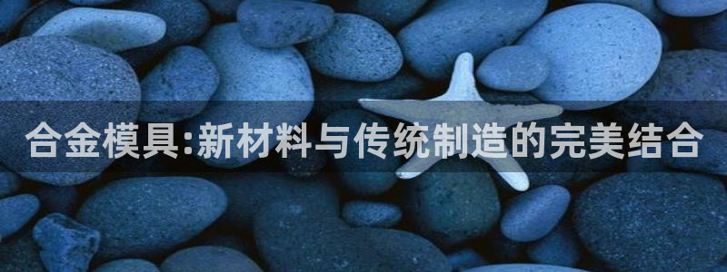 太阳老板身价：合金模具:新材料与传统制造的完美结合