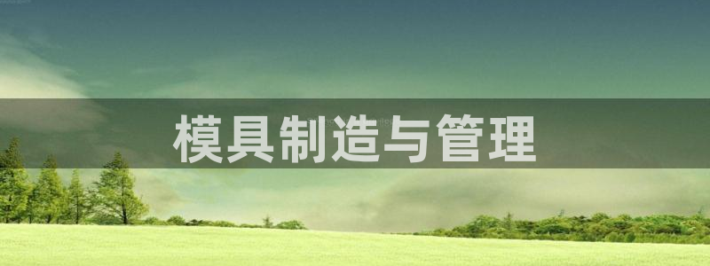 太阳集团股份有限公司是国企吗：模具制造与管理