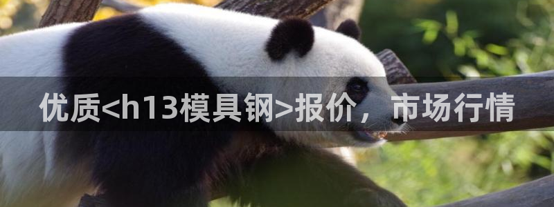 太阳影业投资：优质<h13模具钢>报价，市场行情