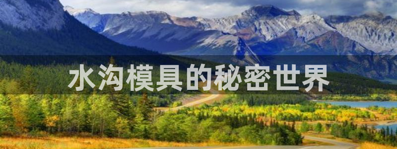 太阳控股集团有限公司董事长：水沟模具的秘密世界
