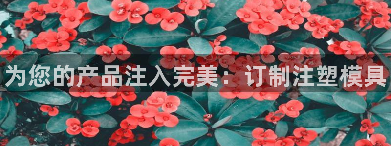 太阳集团房地产：为您的产品注入完美：订制注塑模具