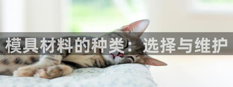 太阳集团2018网址：模具材料的种类：选择与维护