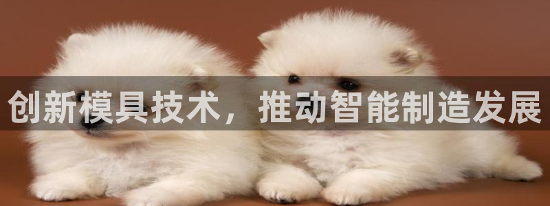 太阳集团是什么公司旗下的：创新模具技术，推动智能制造发展