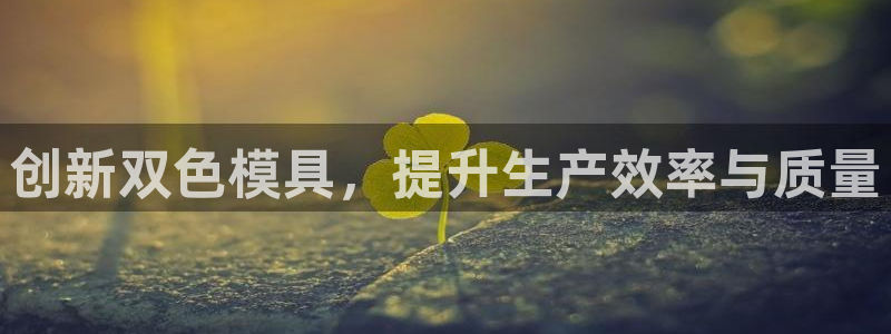 太阳集团网站2018：创新双色模具，提升生产效率与质量