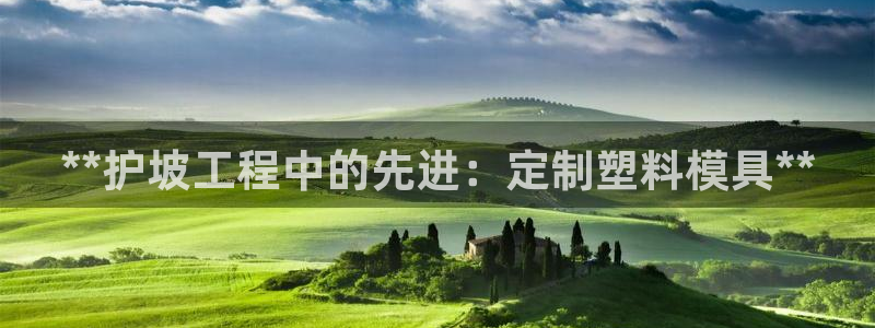 太阳集团城welcome：**护坡工程中的先进：定制塑料模具**