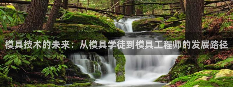 太阳集团的法人代表：模具技术的未来：从模具学徒到模具工程师的发展路径