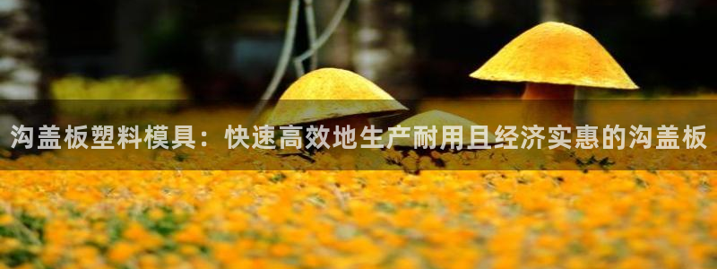 太阳集团电子游戏(中国)有限公司官网：沟盖板塑料模具：快速高效地生产耐用且经济实惠的沟盖板