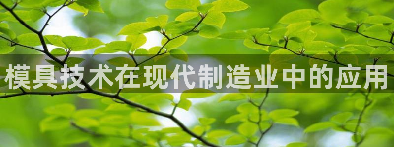 太阳诚集团有限公司怎么样：模具技术在现代制造业中的应用