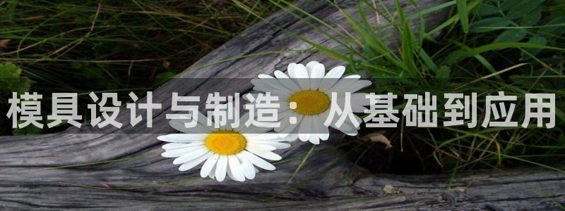 太阳集团tcy8722查封了：模具设计与制造：从基础到应用