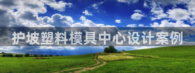 太阳app网页版：护坡塑料模具中心设计案例