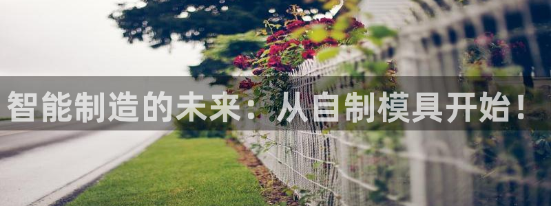 太阳2游戏娱乐官网