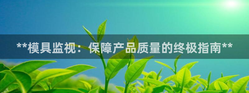太阳成集团tyc234cc官网：**模具监视：保障产品质量的终极指南**