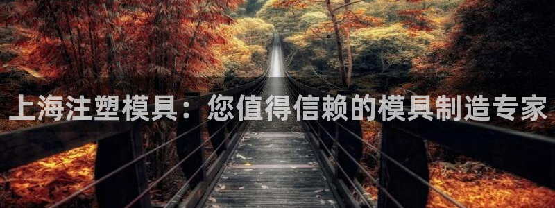 太阳gg注册登录：上海注塑模具：您值得信赖的模具制造专家