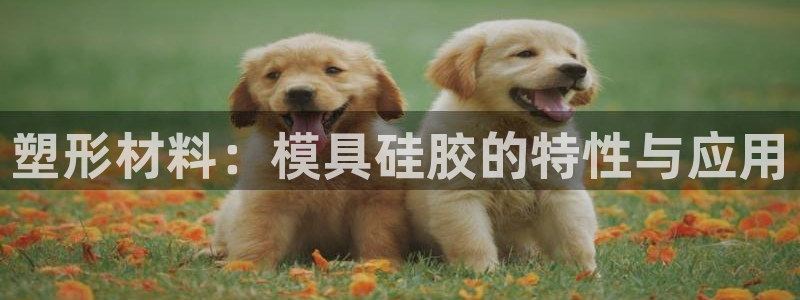 太阳集团所有网址16877：塑形材料：模具硅胶的特性与应用
