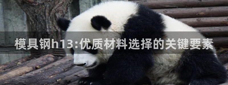 太阳gg官网登录：模具钢h13:优质材料选择的关键要素