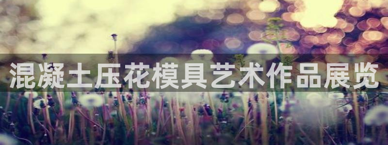 太阳成集团古天乐：混凝土压花模具艺术作品展览