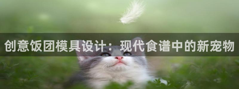 太阳集团公司董事长：创意饭团模具设计：现代食谱中的新宠物