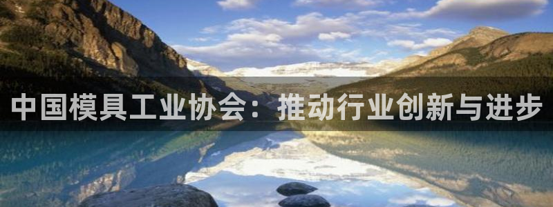 太阳成集团客服：中国模具工业协会：推动行业创新与进步