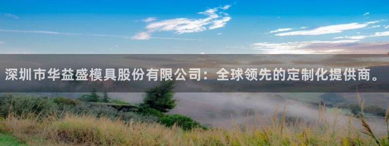 奥门太阳集团城：深圳市华益盛模具股份有限公司：全球领先的定制化提供商。