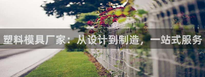 太阳gg平台地址：塑料模具厂家：从设计到制造，一站式服务