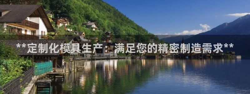 太阳成集团tyc234cc—首页欢迎您：**定制化模具生产：满足您的精密制造需求**