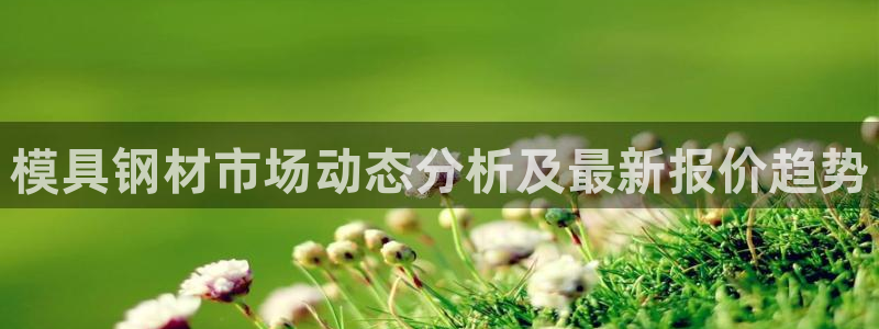 太阳集团董事长是谁呀：模具钢材市场动态分析及最新报价趋势