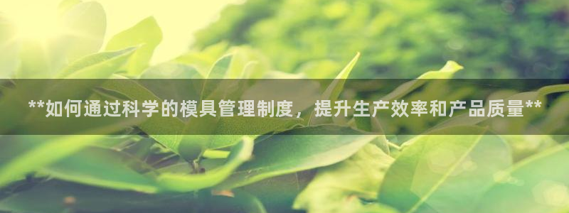 太阳集市网上商城：**如何通过科学的模具管理制度，提升生产效率和产品质量**