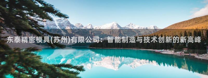 太阳成集团tyc234cc[主页]网站振兴：东泰精密模具(苏州)有限公司：智能制造与技术创新的新高峰