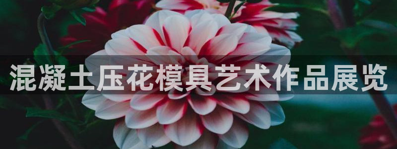 古天乐代言太阳网址：混凝土压花模具艺术作品展览