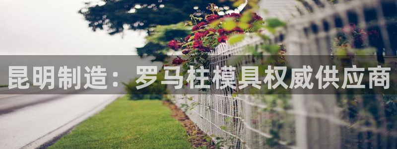 太阳集团注册就送38：昆明制造：罗马柱模具权威供应商