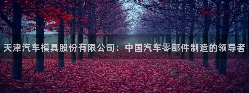 太阳集团网站视频：天津汽车模具股份有限公司：中国汽车零部件制造的领导者