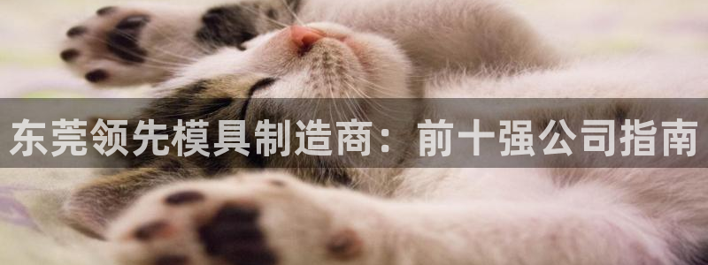 太阳app安卓版：东莞领先模具制造商：前十强公司指南