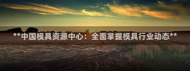 太阳诚集团有限公司怎么样：**中国模具资源中心：全面掌握模具行业动态**