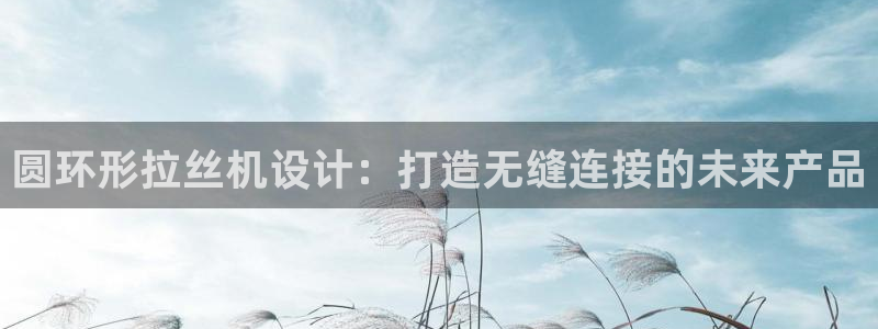太阳gg平台登陆：圆环形拉丝机设计：打造无缝连接的未来产品