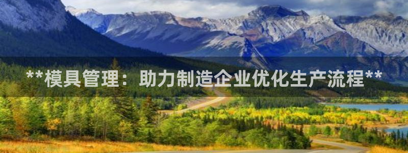 太阳 官网：**模具管理：助力制造企业优化生产流程**