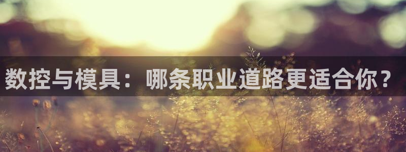 太阳集团城2018网站：数控与模具：哪条职业道路更适合你？