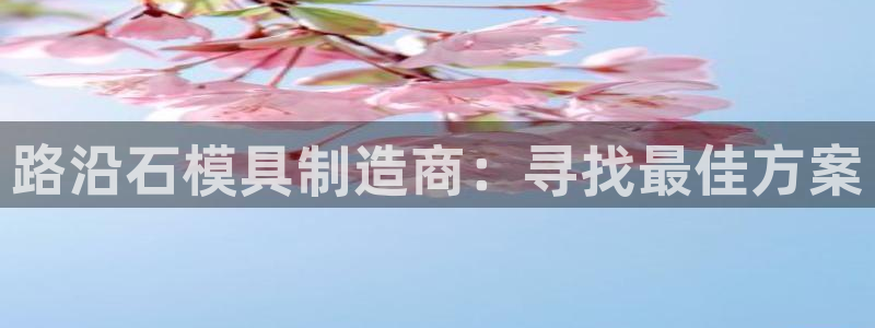 太阳集团城网址：路沿石模具制造商：寻找最佳方案