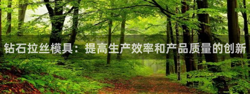 太阳集团电子游戏有限公司：钻石拉丝模具：提高生产效率和产品质量的创新