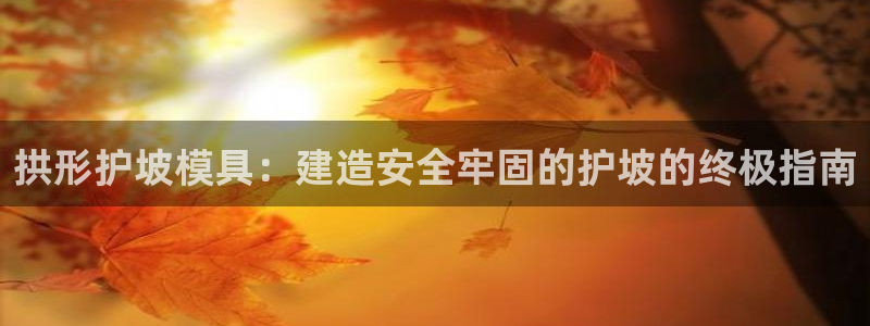 suncitygroup太阳集团--官方网站：拱形护坡模具：建造安全牢固的护坡的终极指南