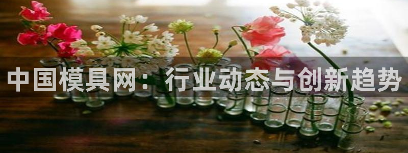 太阳集团的法人代表：中国模具网：行业动态与创新趋势