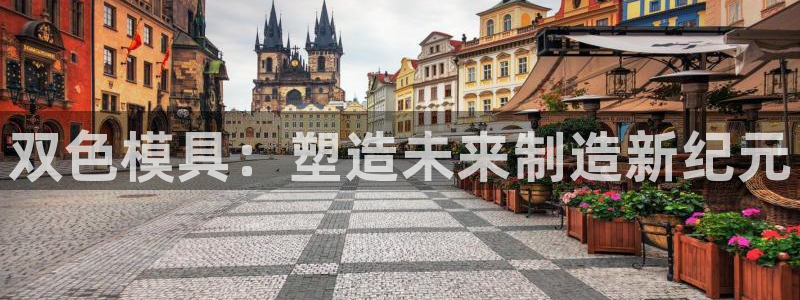 太阳诚集团有限公司：双色模具：塑造未来制造新纪元