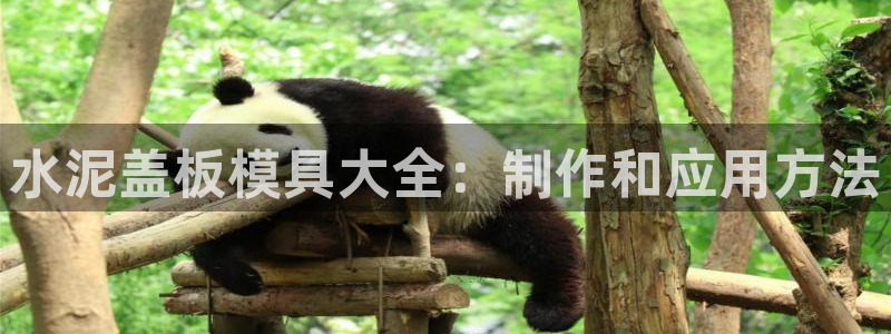 太阳成集团老板是谁