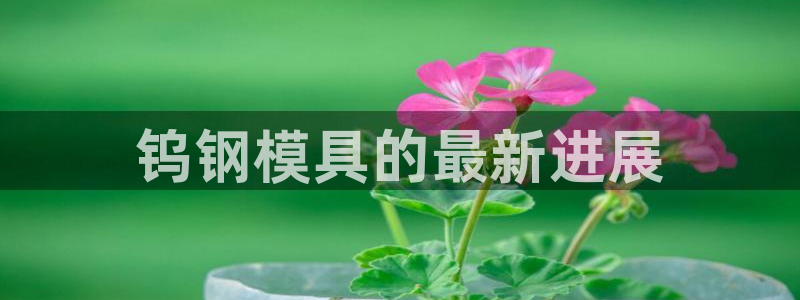 太阳集团董事长是谁呀：钨钢模具的最新进展