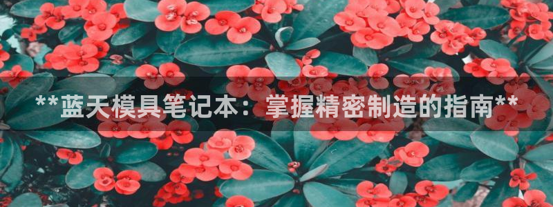 太阳手机游戏：**蓝天模具笔记本：掌握精密制造的指南**