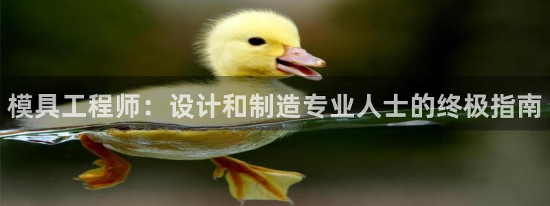 太阳成集团tyc3345：模具工程师：设计和制造专业人士的终极指南