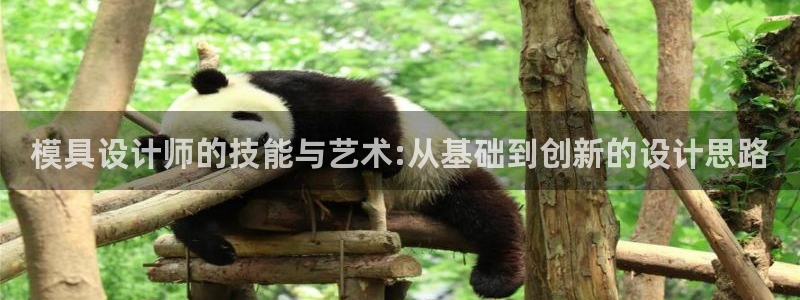 太阳集团城官方app