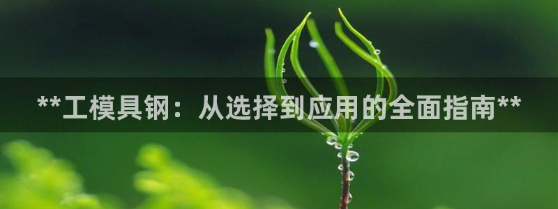 太阳2平台网址