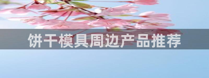 太阳成集团tyc33455cc：饼干模具周边产品推荐