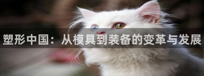 太阳集团游戏城：塑形中国：从模具到装备的变革与发展