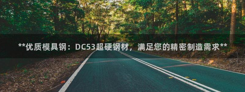 太阳gg是真的吗：**优质模具钢：DC53超硬钢材，满足您的精密制造需求**